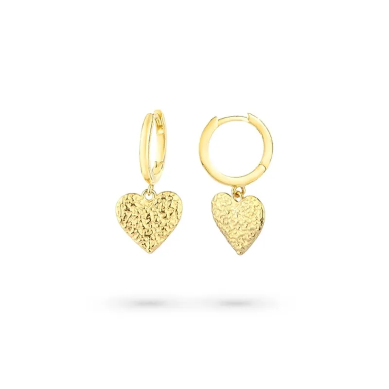 Ladies' Earrings Radiant RY000107